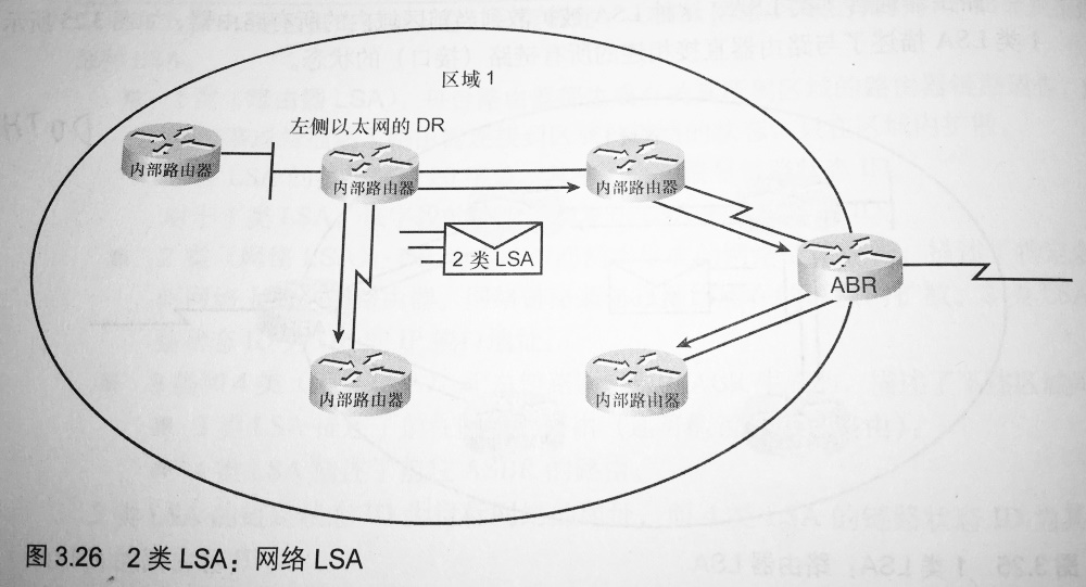 OSPFv2-LSA-2.jpg