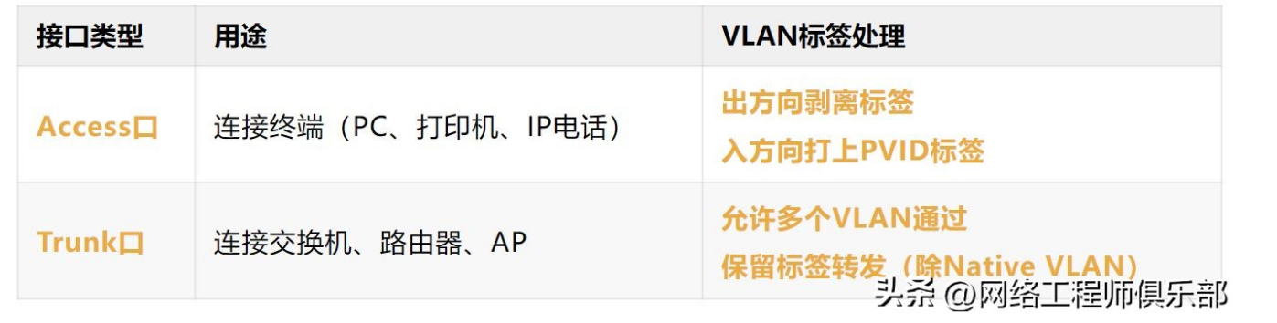 从逻辑看本质，Trunk口和 Access口到底是谁更重要？