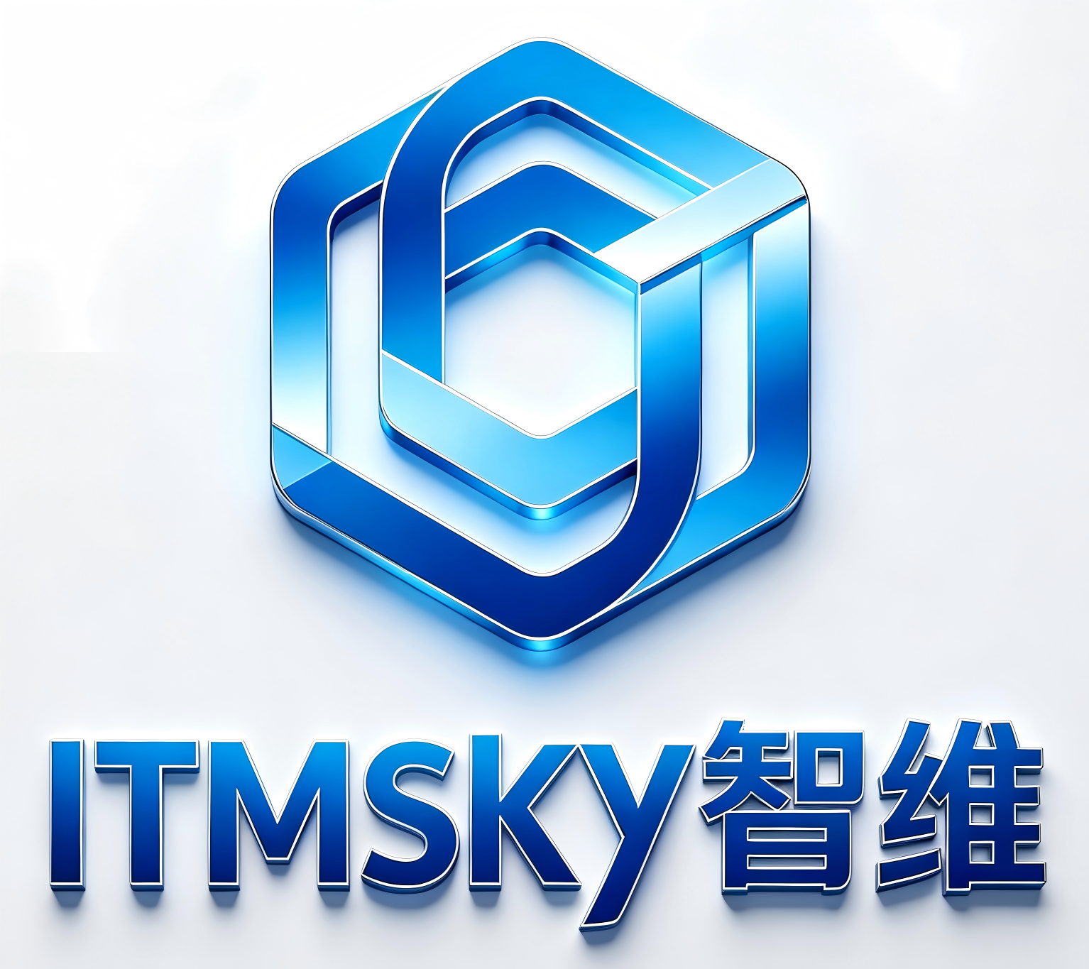智维ItmskyLogo设计.png